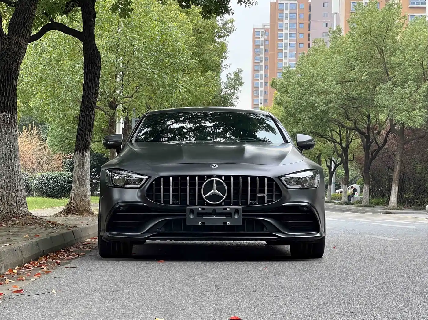 Mercedes-Benz AMG GT 2019 AMG GT 50 4-Door Coupe фото 2