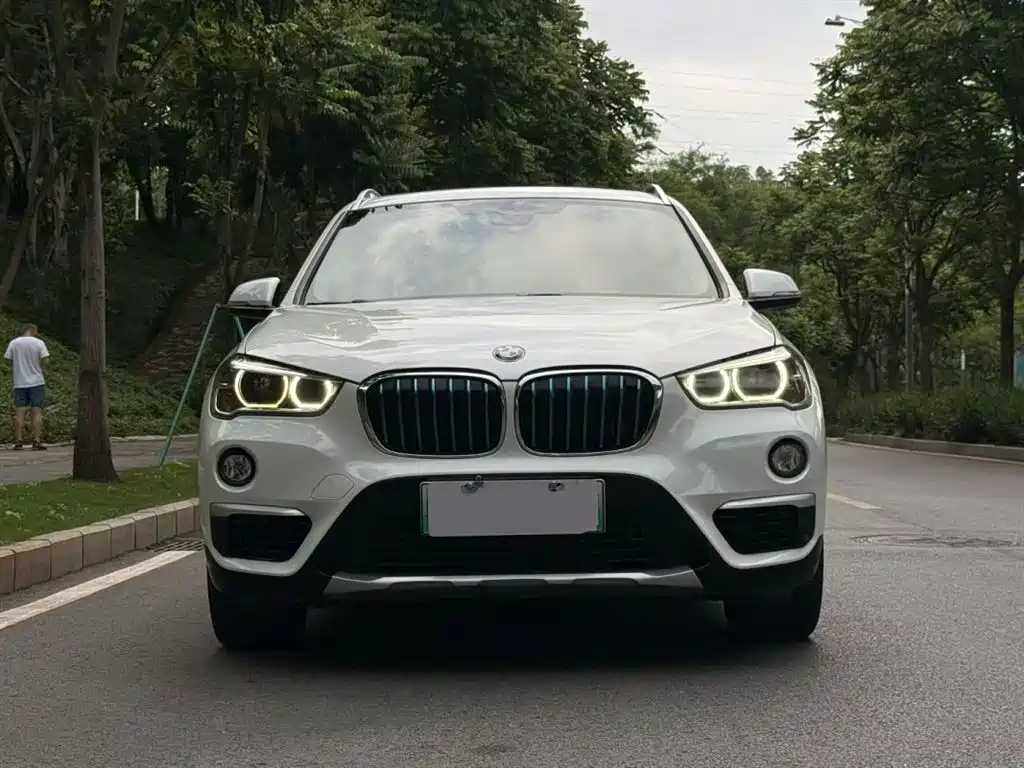 BMW X1 New Energy 2018 xDrive25Le Luxury Model фото 2