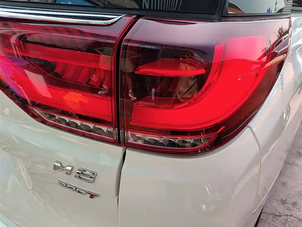 GAC Trumpchi Trumpchi M8 2021 Leading Show Series 390T Prestige Edition фото 8