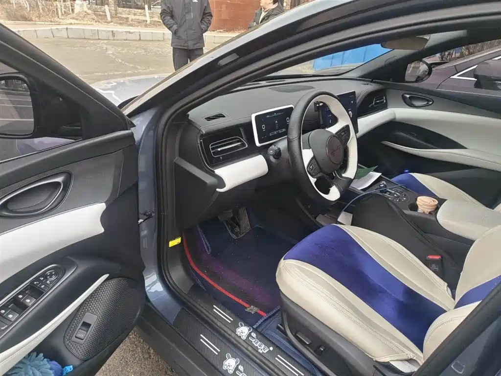 BYD Seal 06 New Energy 2024 DM-i 80KM Prestige фото 14