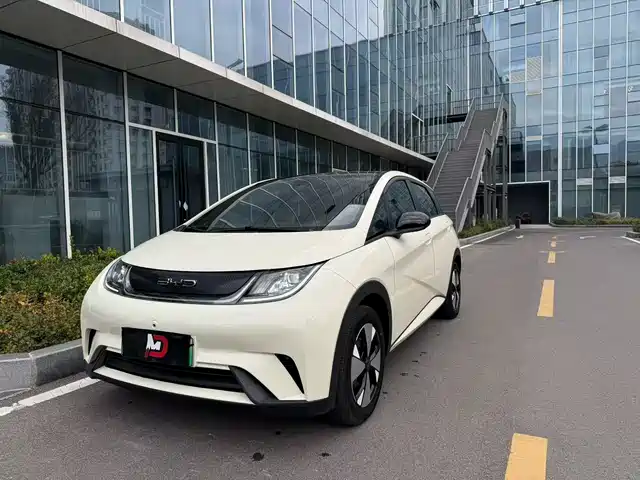 BYD Dolphin 420km, Свобода