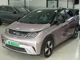 Фото 1 - BYD Dolphin