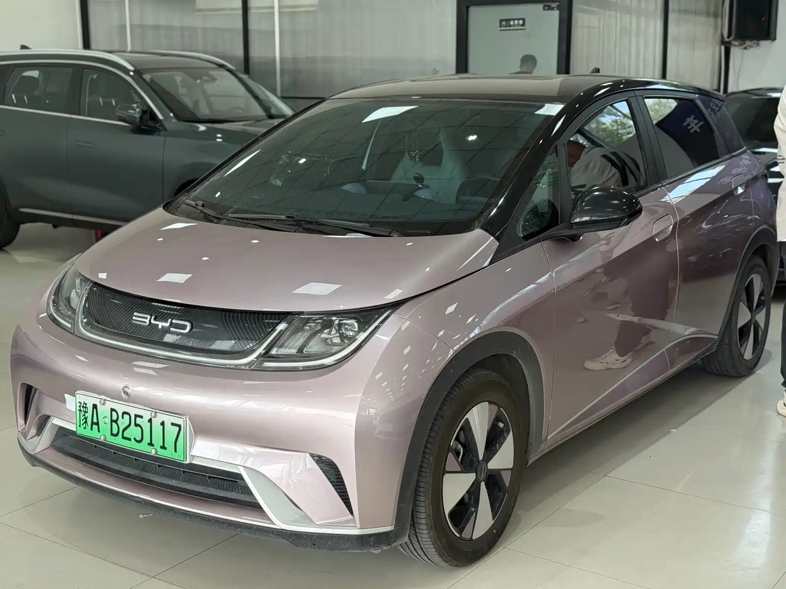 Фото 1 - BYD Dolphin