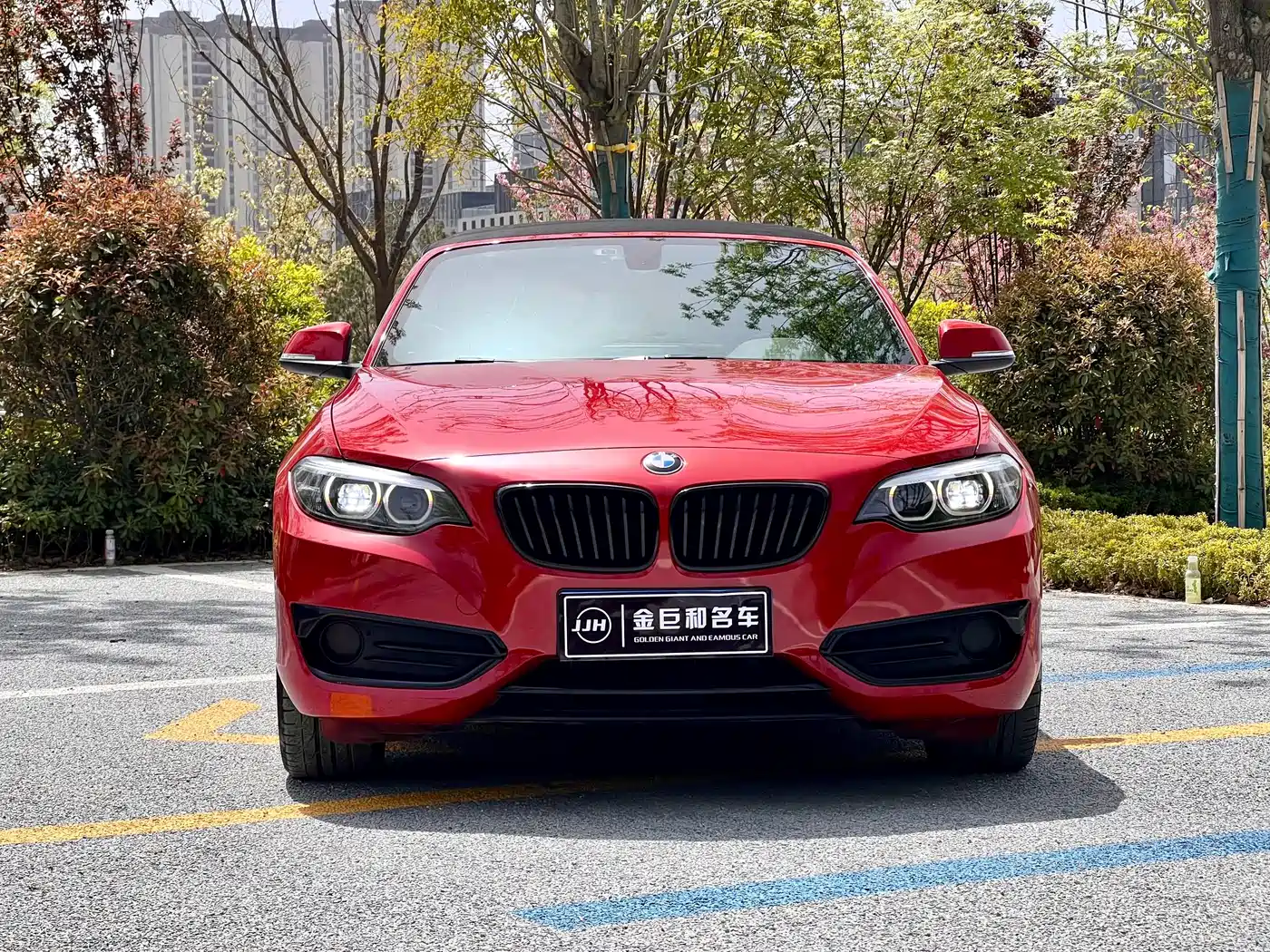 BMW 2 Series (Import) 2019 225i Convertible Coupe Sport Design Package фото 3