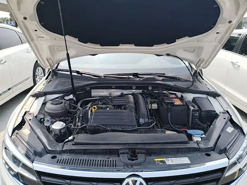 VOLKSWAGEN LINGDU