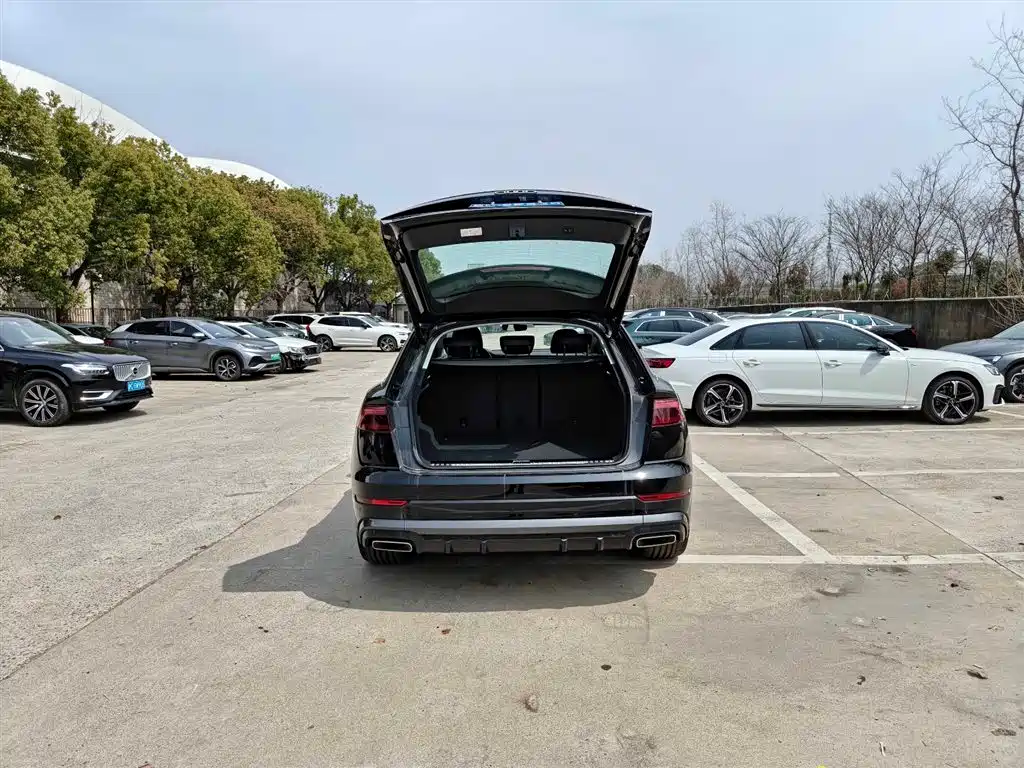 Audi Q8 2024 55 TFSI Luxury Sport фото 6