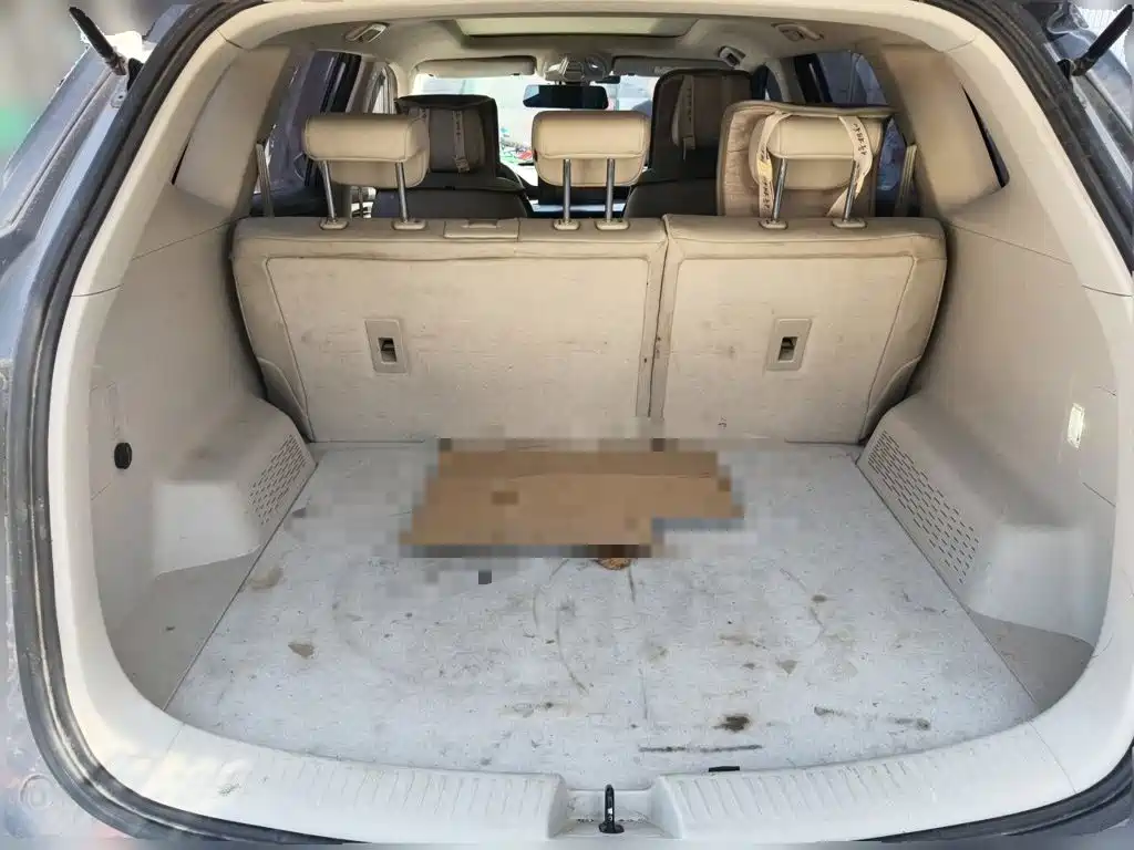 Wuling Motors Wuling Xingchen 2021 2021 1.5T CVT Stellar Edition