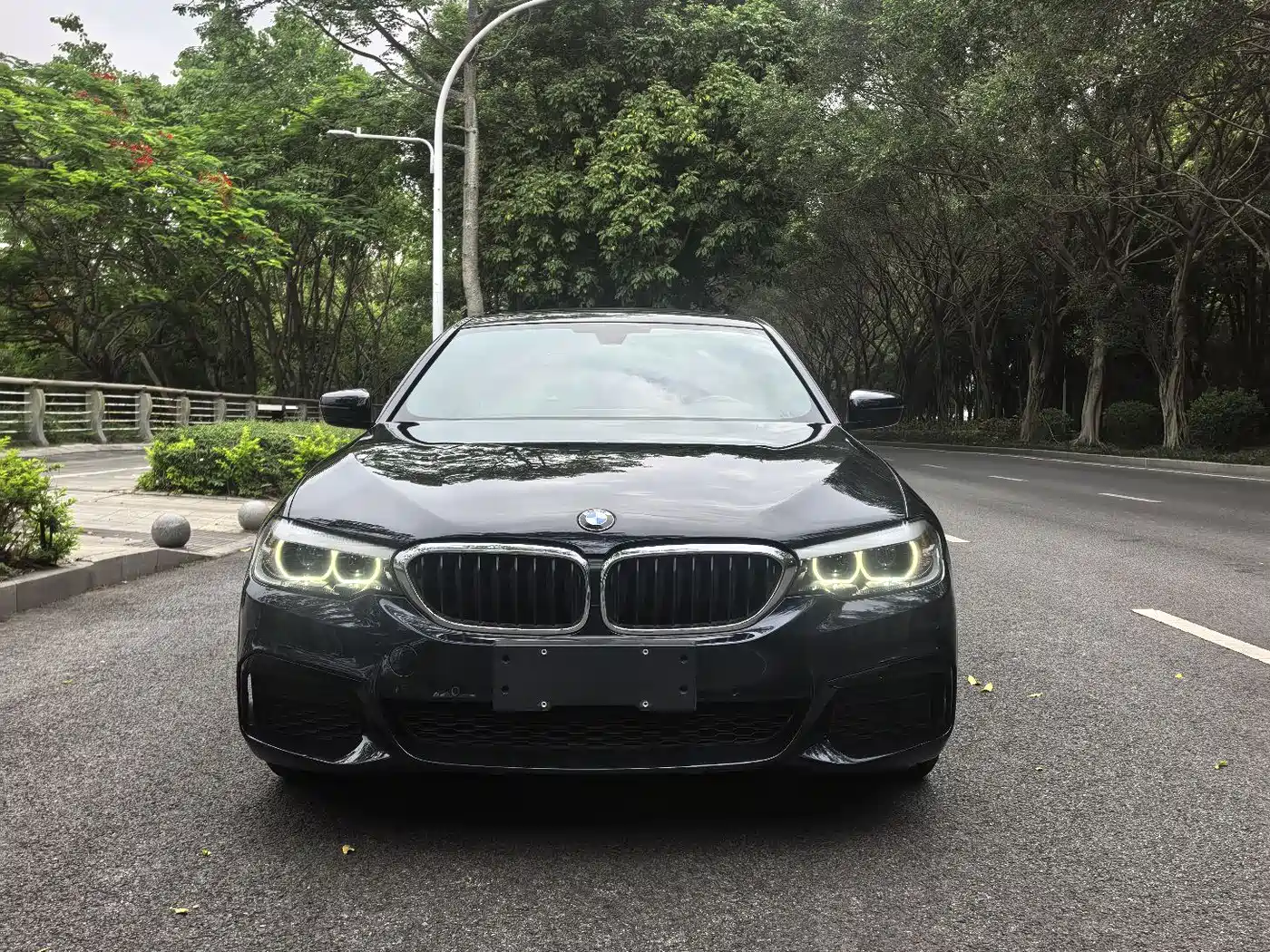 BMW 5 Series 2020 525Li M Sport Package фото 4