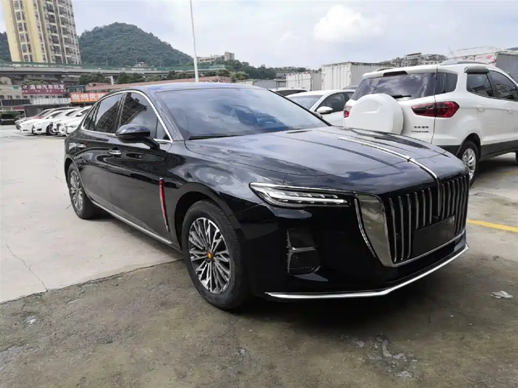 Hongqi H5 2024 2.0T Automatic Smart Connect Flag Enjoy Edition фото 4