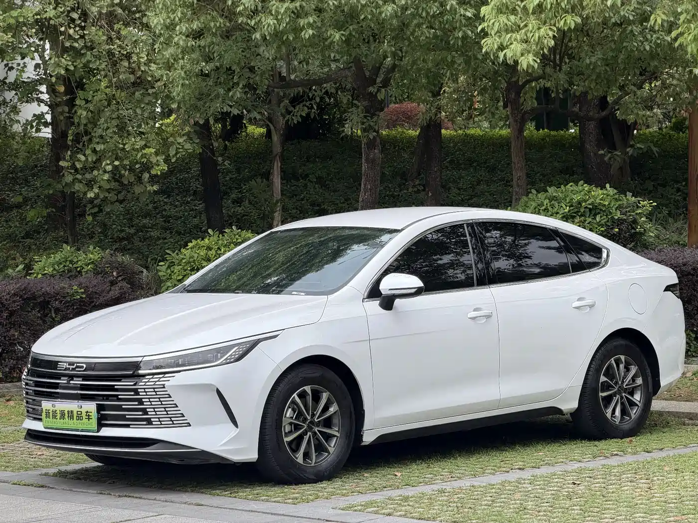 BYD Destroyer 05 2024 Glory Edition DM-i 55KM Luxury