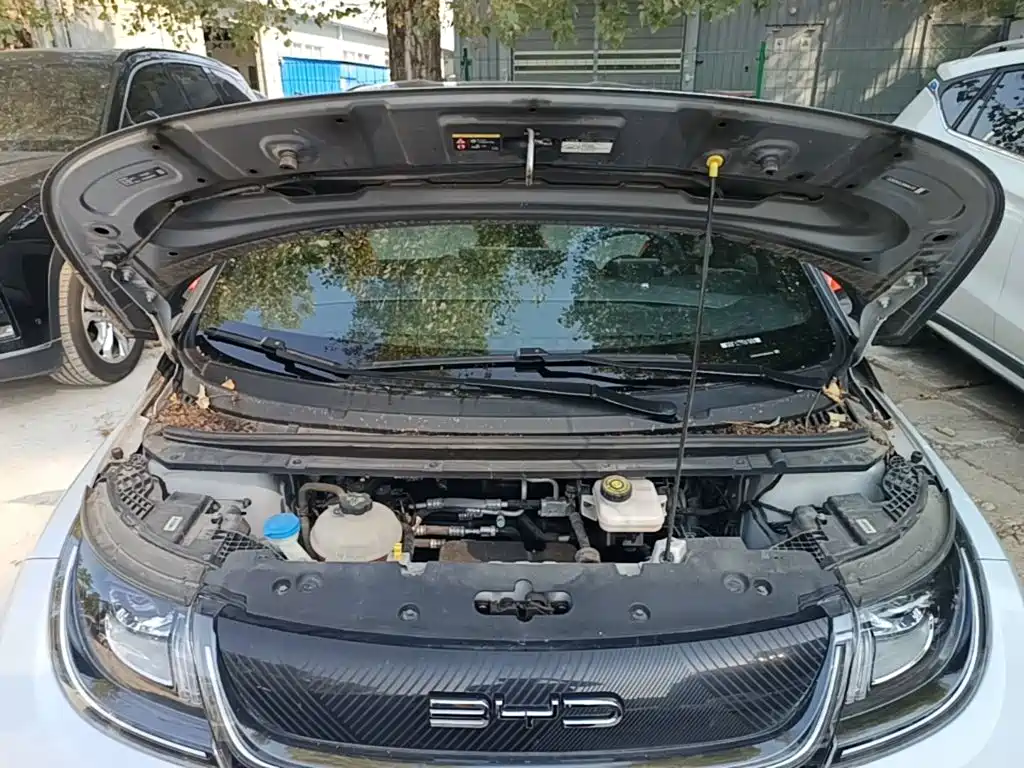 BYD Dolphin 2021 2021 405km Freedom Edition
