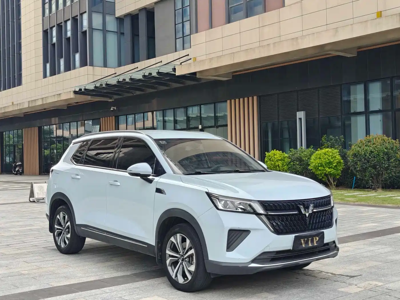 Wuling Motors Wuling Xingchen 2023 2022 2.0L DHT Electric Power Edition