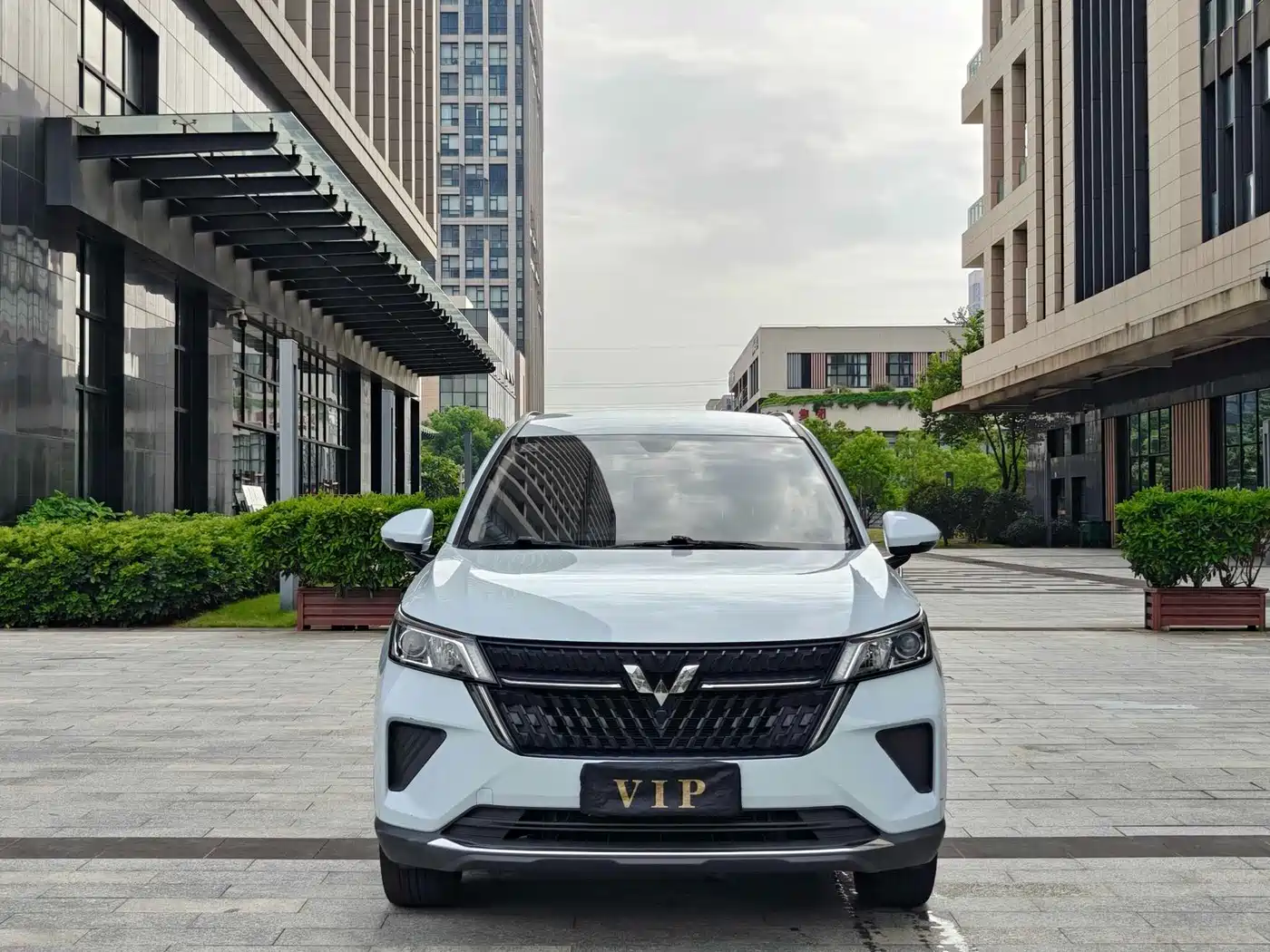 Wuling Motors Wuling Xingchen 2023 2022 2.0L DHT Electric Power Edition