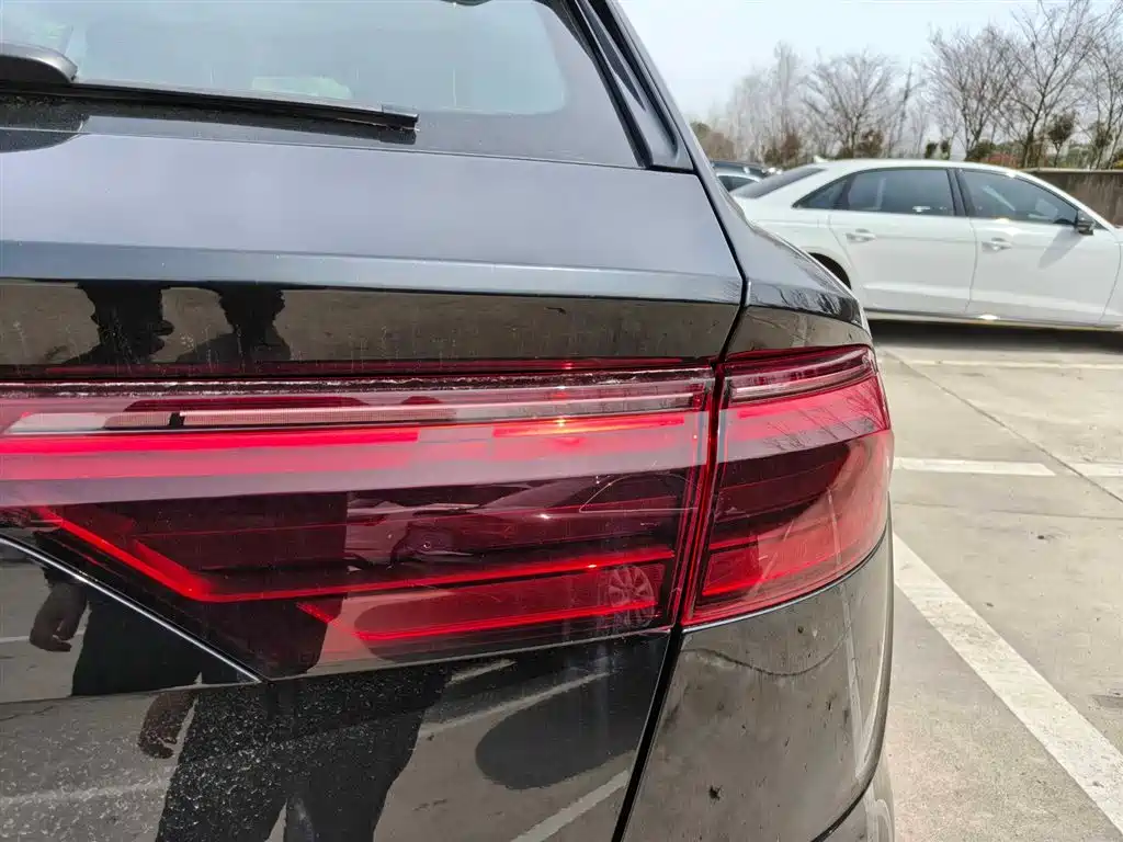 Audi Q8 2024 55 TFSI Luxury Sport фото 19