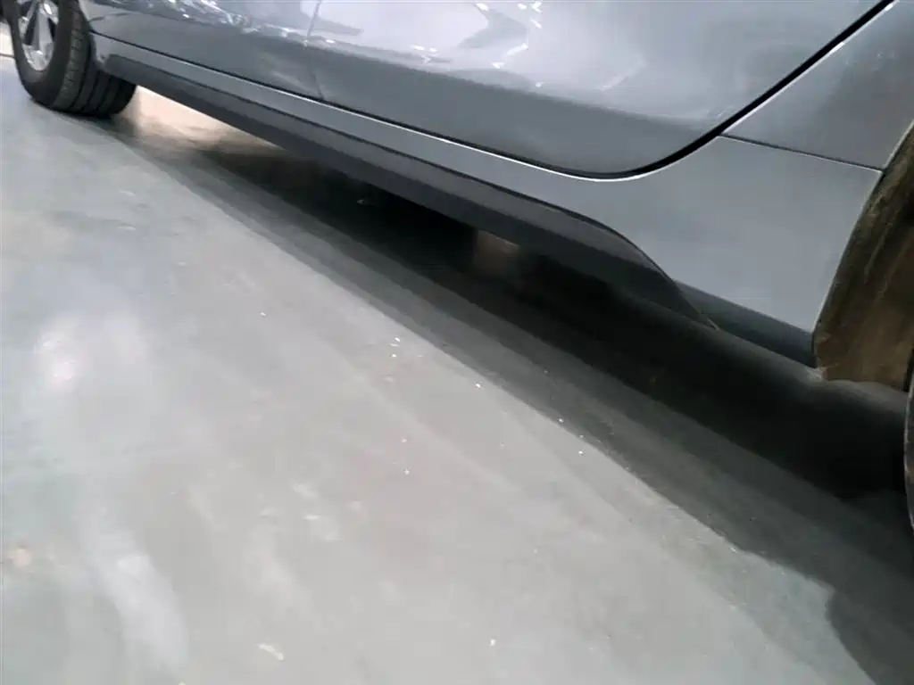 BYD Destroyer 05 2024 Glory Edition DM-i 55KM Luxury фото 22