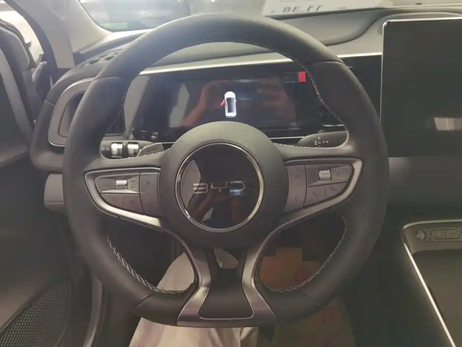 BYD Hai Shi 05 EV 2026 2025 520KM Smart Navigation Edition