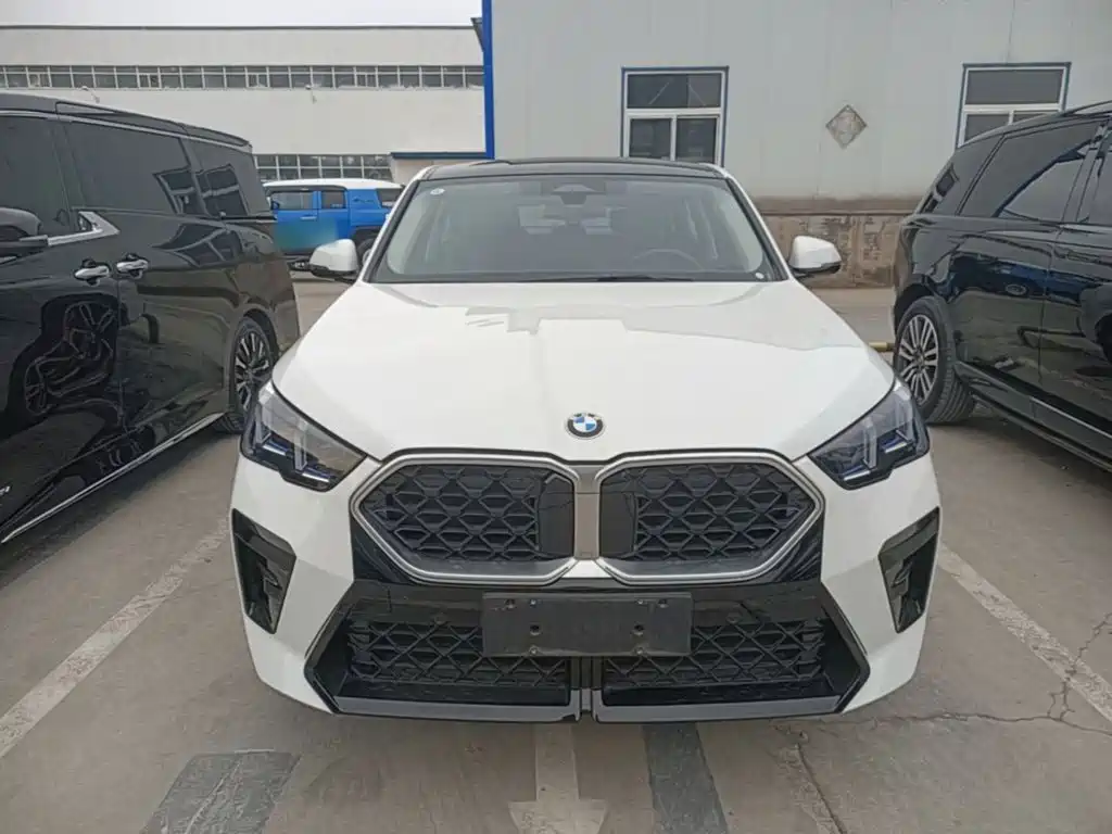 BMW X2 (Import) 2025 2024 sDrive25i M Sport Package