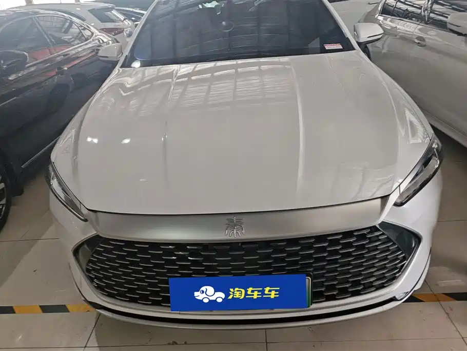 BYD Qin PLUS 2024 Glory Edition DM-i 55KM Leading фото 2