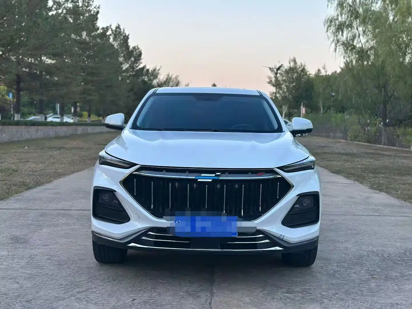 Фото 2 - Changan Oshan Changan Oushang X5