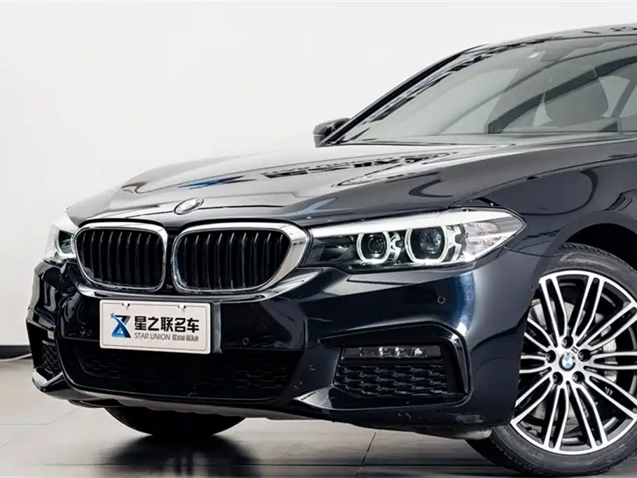 BMW 5 Series 2019 530Li Leading M Sport Package фото 3