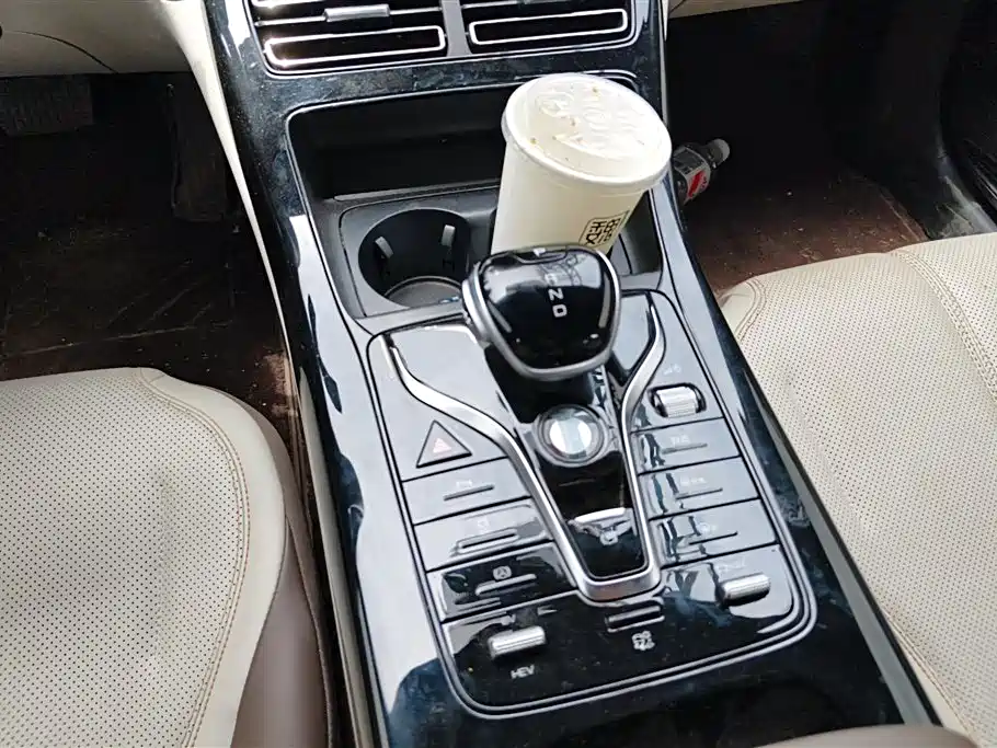 BYD Qin PLUS 2024 Glory Edition DM-i 55KM Leading фото 16