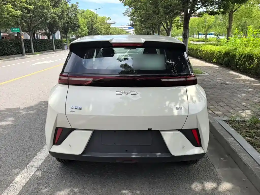 BYD Seagull 2026 2025 Smart Drive Edition 305km Vitality Version
