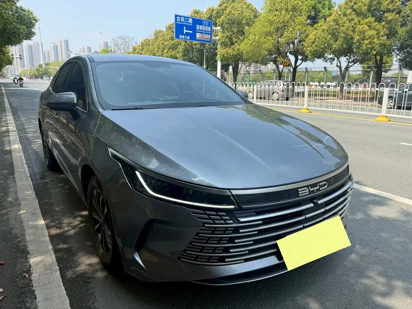 BYD Destroyer 05 2023 Champion Edition DM-i 55KM Luxury фото 2