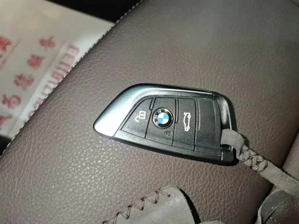 BMW X1 New Energy 2020 xDrive30Le Premium Edition фото 9