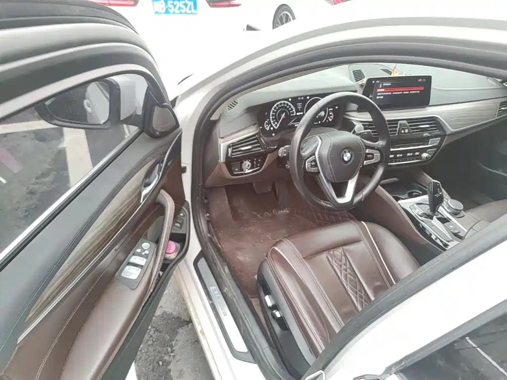 BMW 5 Series New Energy 2019 Facelift 530Le Luxury Package фото 16