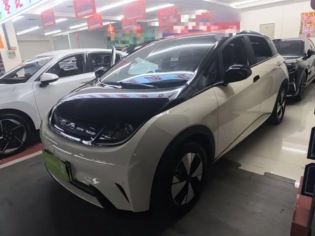 BYD Dolphin 2023 420km Fashion Edition фото 2