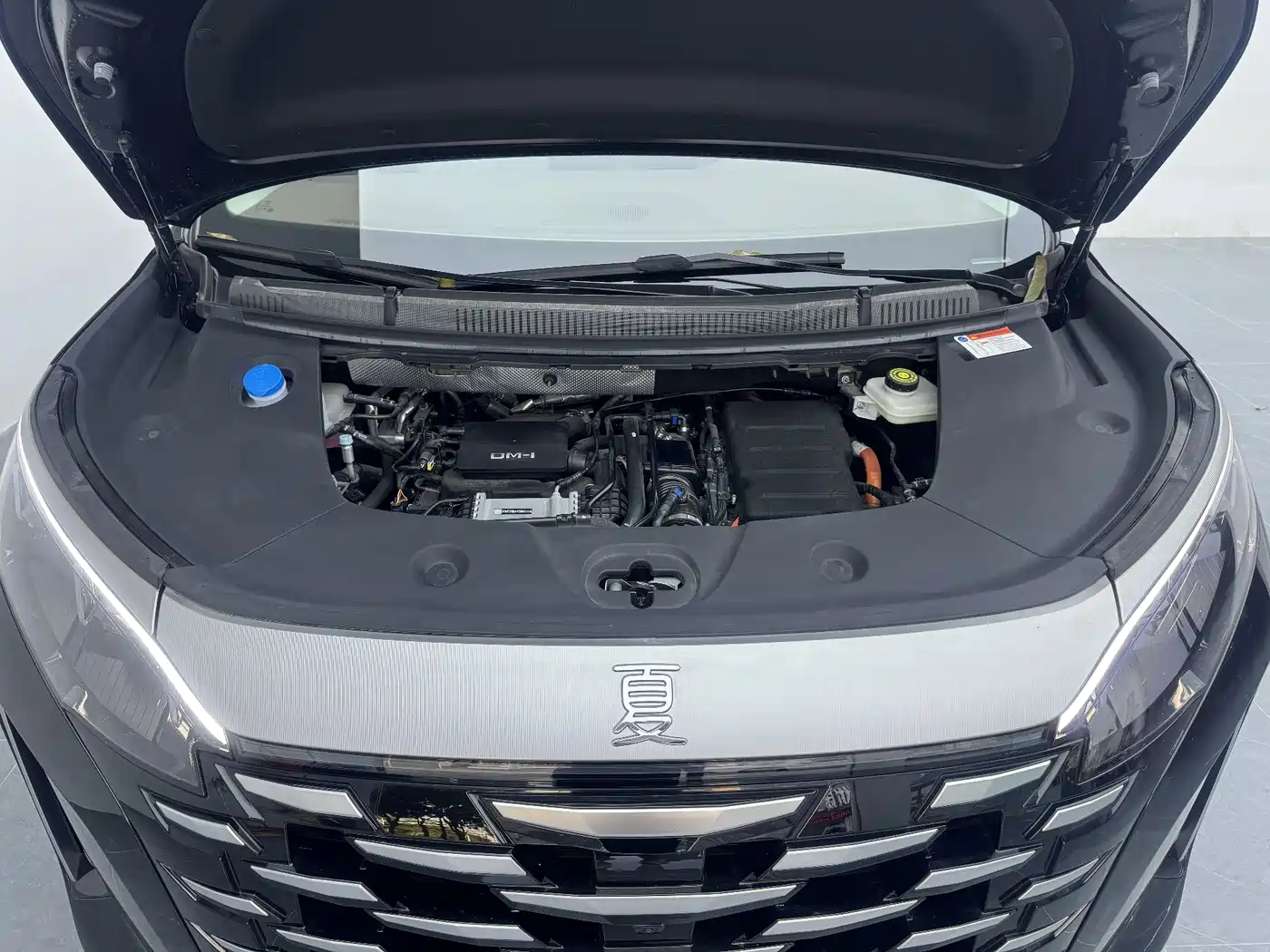 BYD Xia 2025 DM-i 1.5T 100km Surpass Edition фото 14