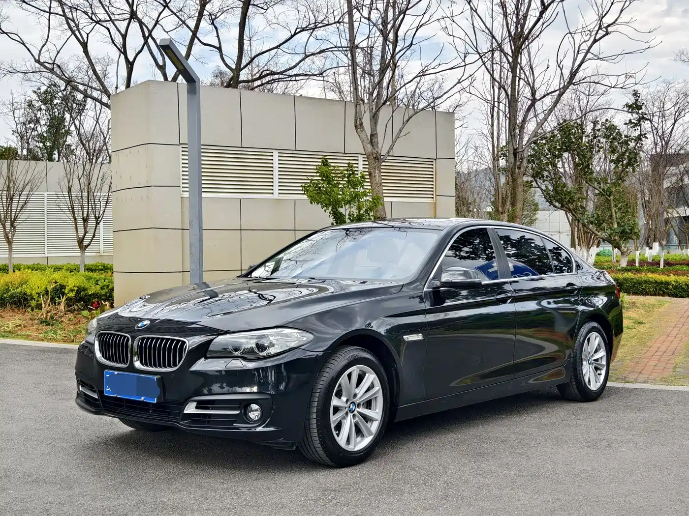 BMW 5 Series 2014 520Li Elegance
