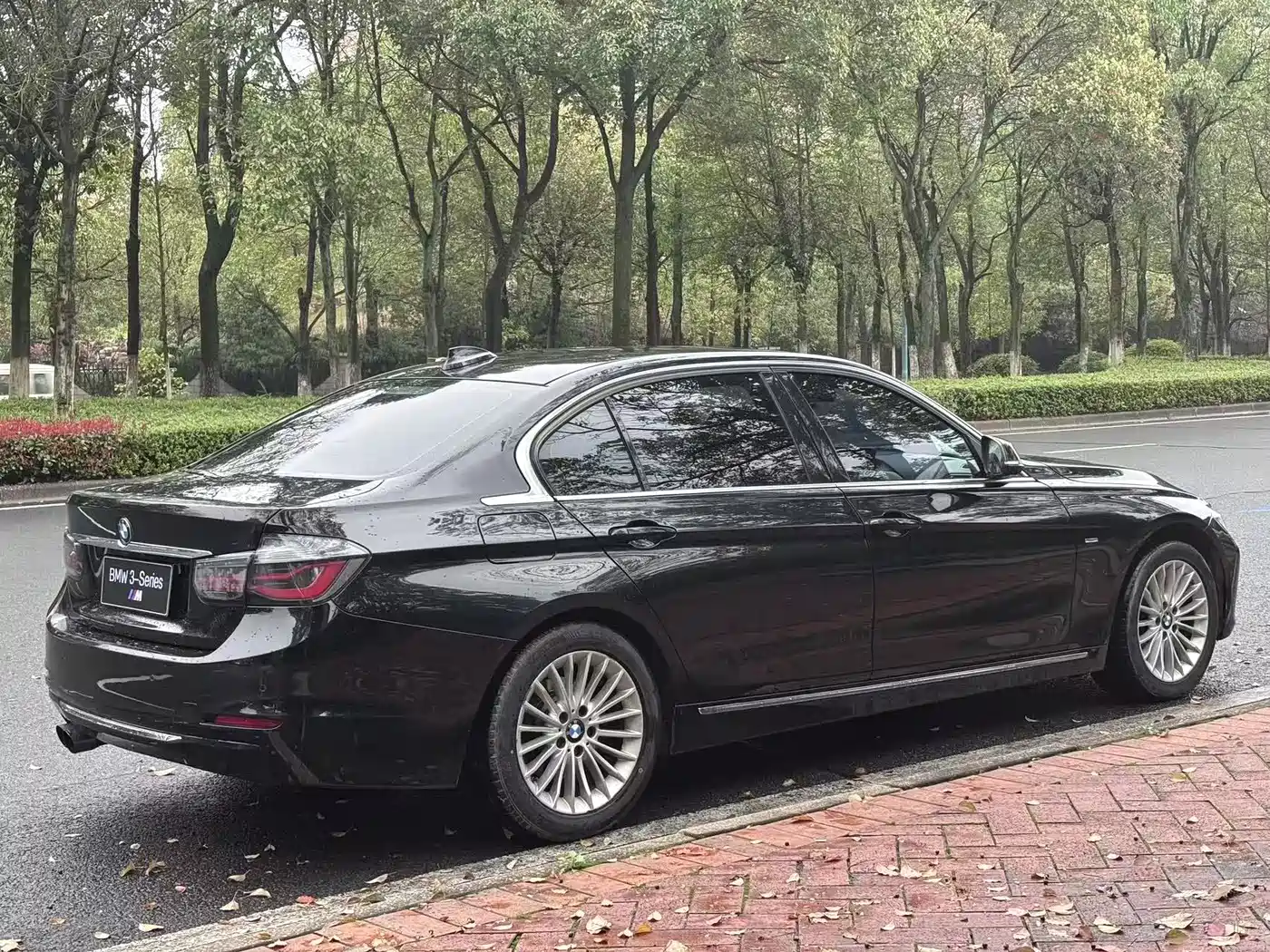BMW 3 Series 2013 Facelift 320Li Luxury Design Package фото 7