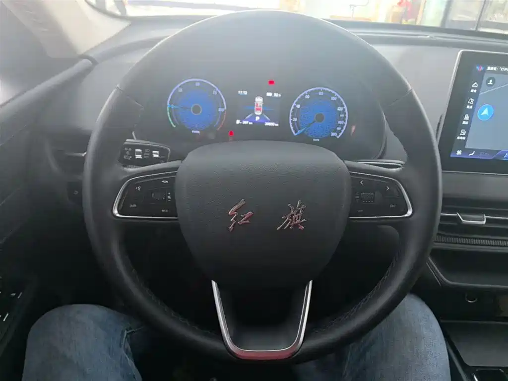 Hongqi E-QM5 2022 431km Charging Enjoyment Edition фото 11