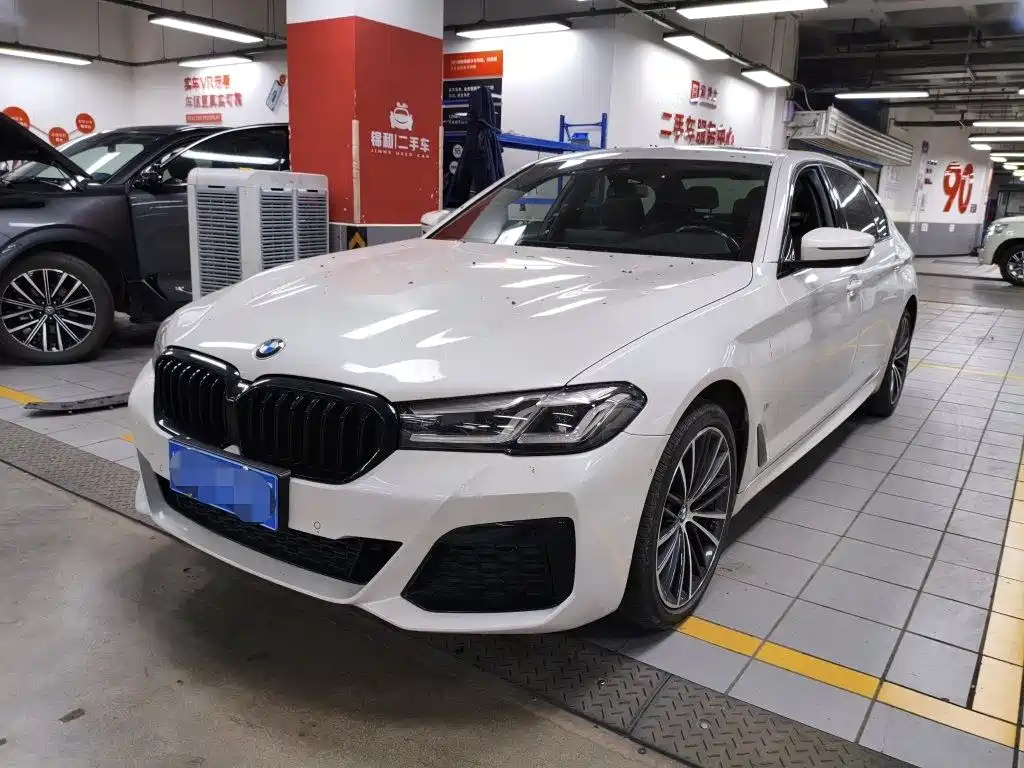 BMW 5 Series 2021 530Li Leading Luxury Package