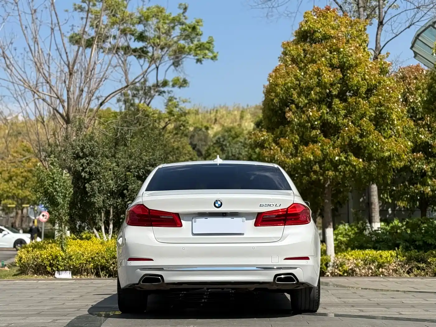 BMW 5 Series 2019 530Li Leading Luxury Package фото 8