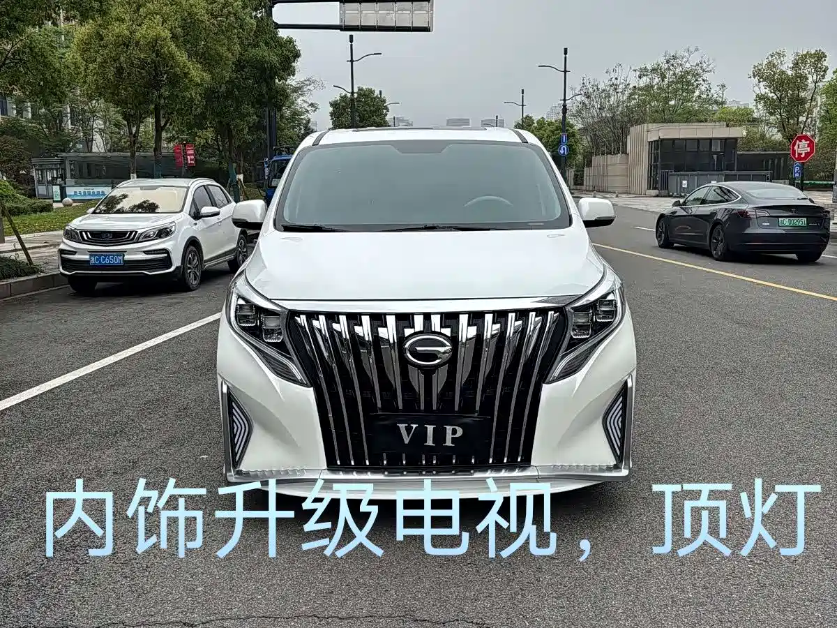 GAC Trumpchi Trumpchi M8 2021 Leading Show Series 390T Premium Edition