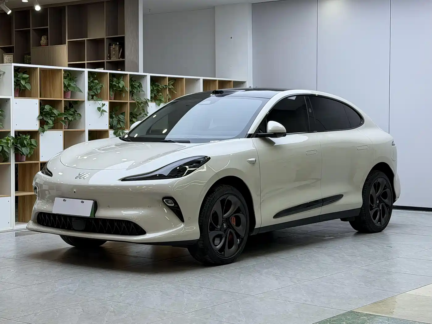IM Motors IM LS6 2025 Long Range Gecko Smart Drive Edition