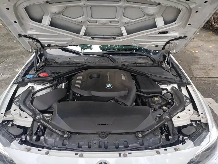 صورة 10 - BMW 4 Series