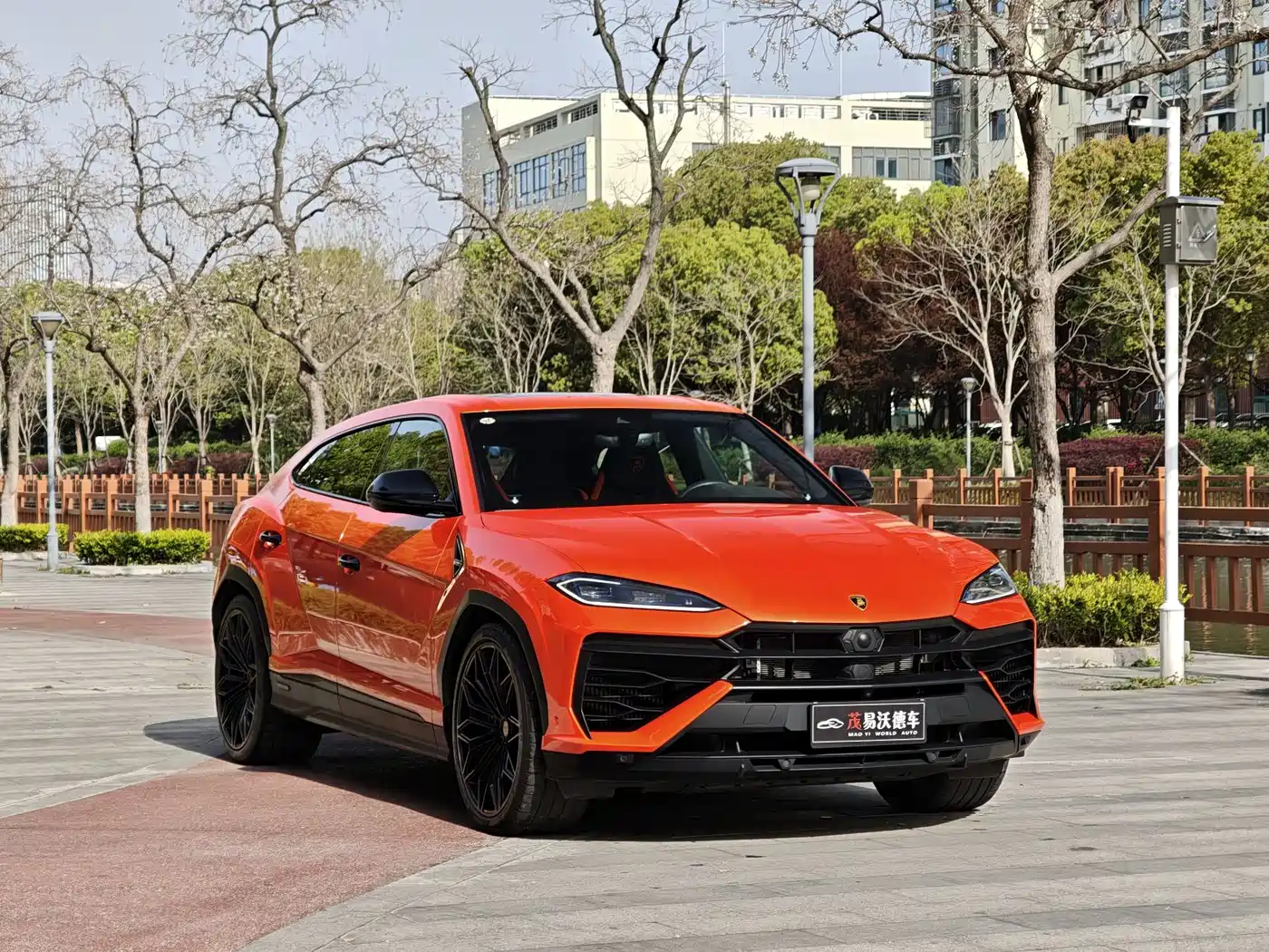 Lamborghini Urus SE 2025 4.0T Standard Edition фото 3