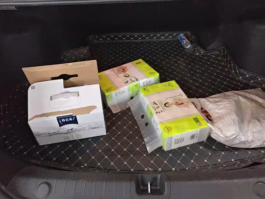 GEELY AUTOMOBILE BINRUI