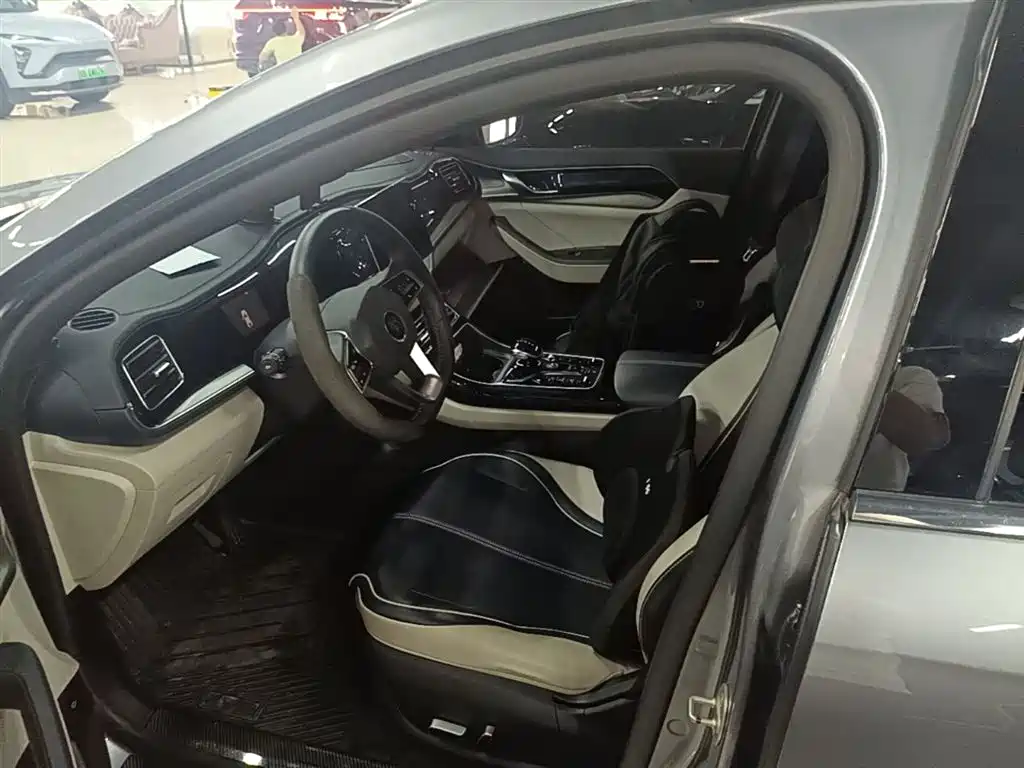 BYD Qin PLUS 2021 DM-i 55KM Flagship фото 15