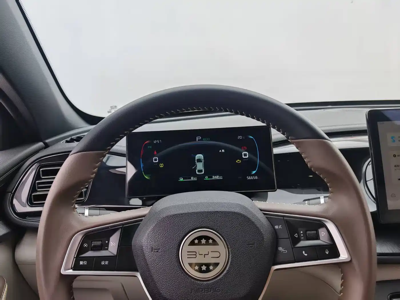 BYD Qin PLUS 2024 Glory Edition DM-i 55KM Leading фото 16