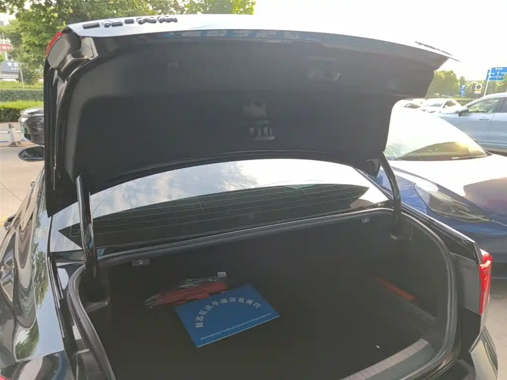 Volkswagen Magotan 2020 330TSI DSG Luxury фото 19