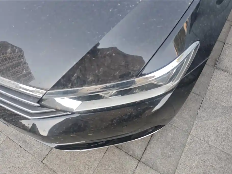 Volkswagen Magotan 2019 330TSI DSG Leading China V фото 5