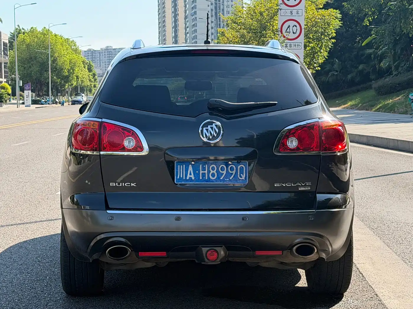 Buick Enclave 2010 2010 3.6L Flagship Edition