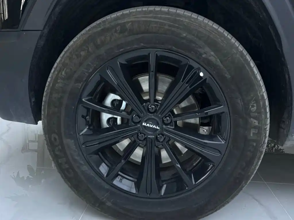 HAVAL RAPTORS NEW ENERGY