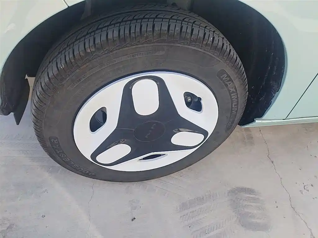 Geely Galaxy Panda 2025 Panda mini 210km Vitality Bear фото 23
