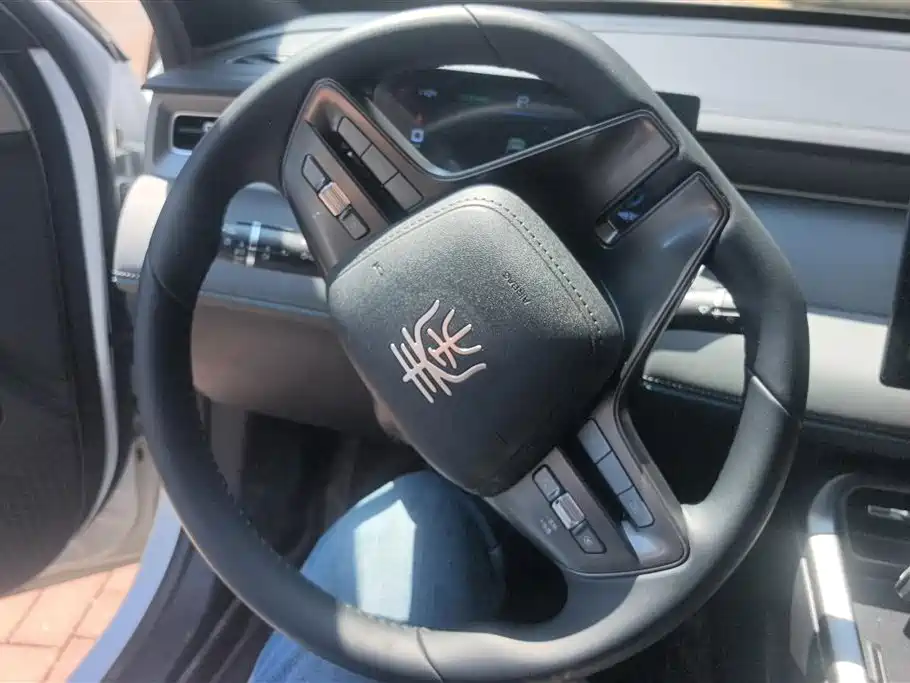 BYD Qin PLUS 2025 DM-i Smart Drive 55KM Leader фото 15