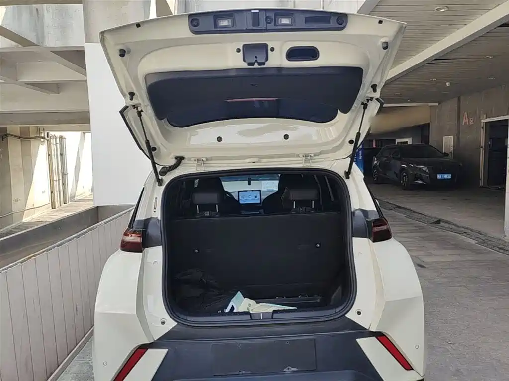 BYD Seagull 2023 Vitality Edition фото 19